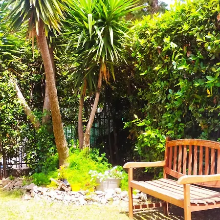 Guest house 